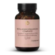Collagen Hyaluronan Complete