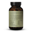 Prosta komplex Vitalpilze