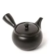 Kyusu Tokoname Hiraami