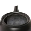 Kyusu Tokoname Hiraami