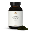 kologisk bygrs juicepulver