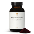 Poudre de myrtilles sauvages bio