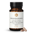 Reniec grski 230mg Rhodiola resea