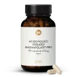 Acido folico (folato) Magnafolate Pro 400 g