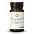 Limosilactobacillus Reuteri Pylopass