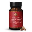 Extrait de ginseng rouge 19,5 %