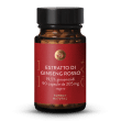 Estratto di ginseng rosso 19,5%