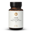 Iodine 100g Mini-Tablets