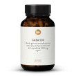 GABA 500 mg capsule