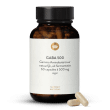 GABA 500 mg Capsules