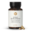 Extrait de millepertuis