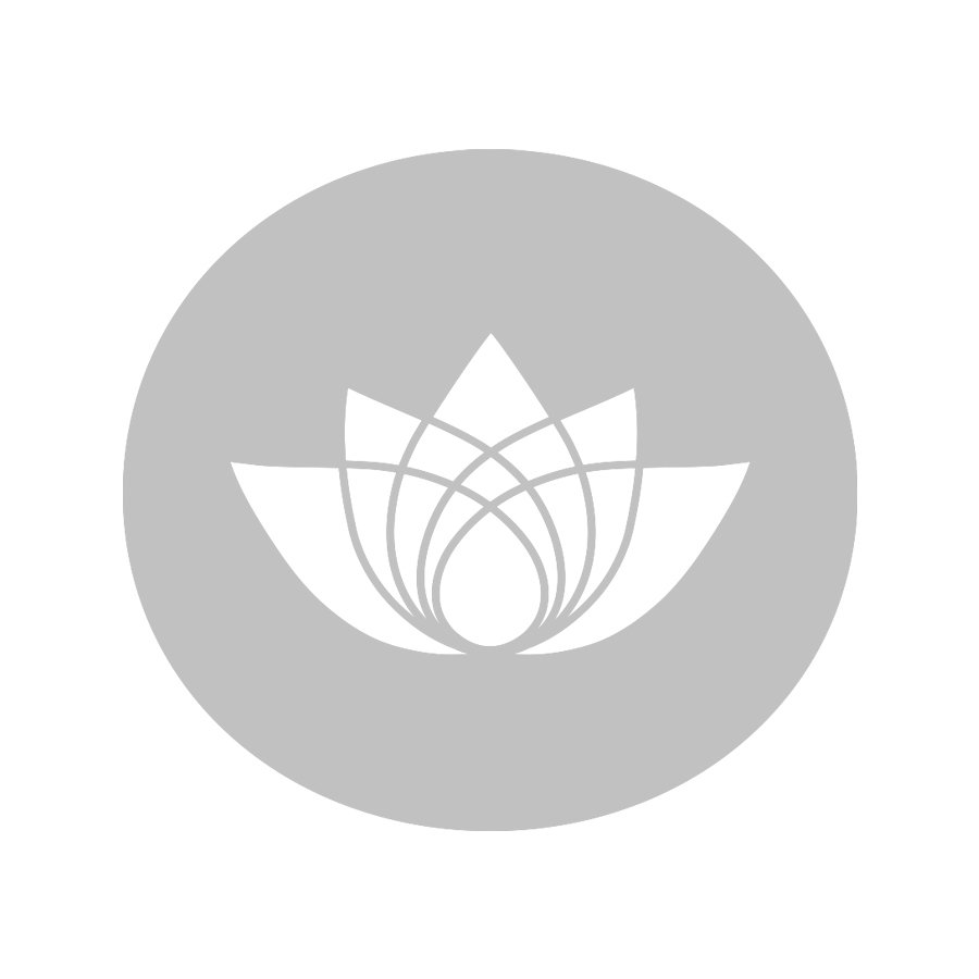 Kollagen Builder Aminokomplex