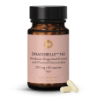 Dracobelle Nu Extract