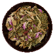 Ginkgo Youth Phyto Activate
