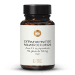 Extrait de fruit de palmier de Floride