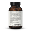 Libido M Erect