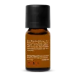 Organic Cinnamon Bark Oil
