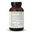 Cactinea Bio Silhouette