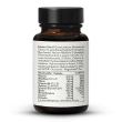 Vitamin B Complex: Bioactive