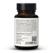 Vitamin B Complex: Bioactive
