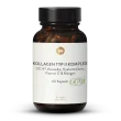 Type II Collagen Complex