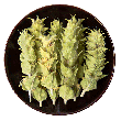 Organic Olympus Mountain Tea