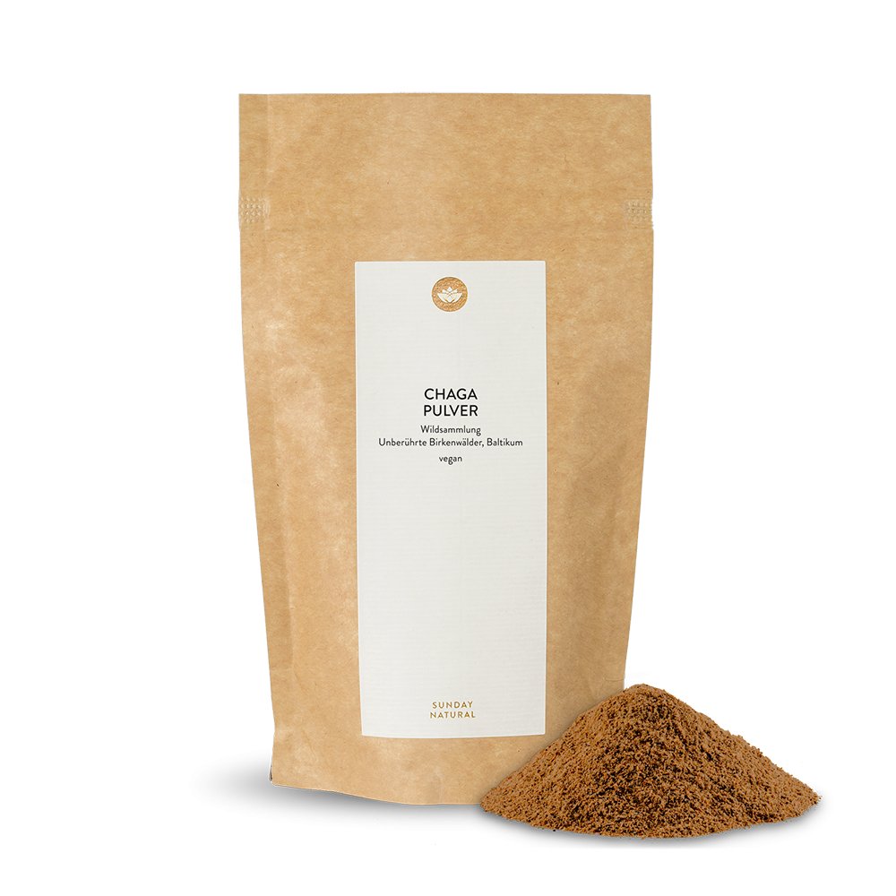 Chaga Pilz Pulver Wildsammlung