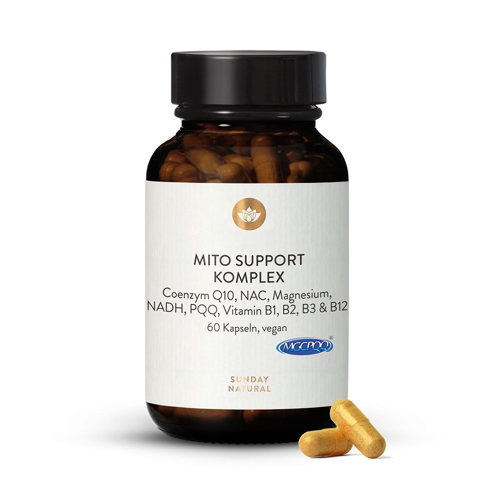 Mito Support Komplex