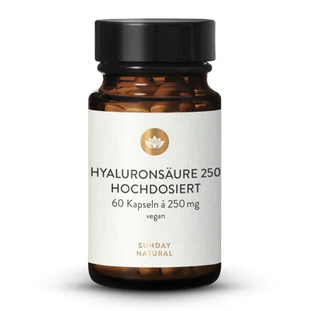 Hyaluronsäure 250mg Kapseln hochdosiert, aus Fermentation, vegan, 60 Kapseln