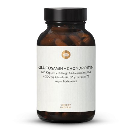 Glucosamine 600mg & Chondroitin 200mg