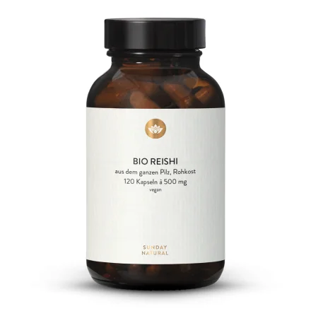 Reishi bio en gélules