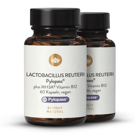 Limosilactobacillus reuteri Pylopass®