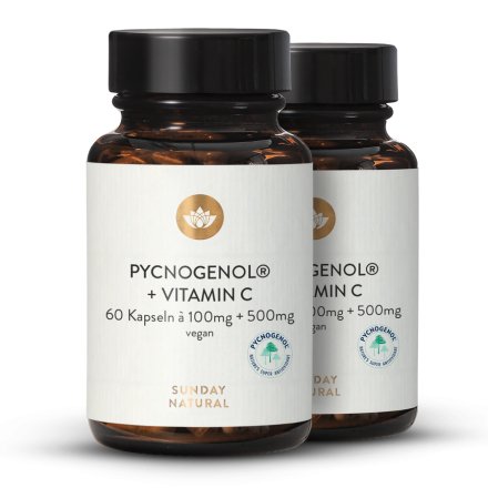 Extrait d'écorce de pin Pycnogenol® 100 + vitamine C