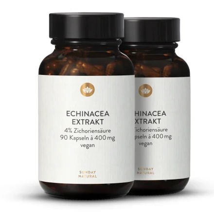 Echinacea Extrakt 400mg Kapseln