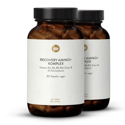 Recovery Amino+ Komplex