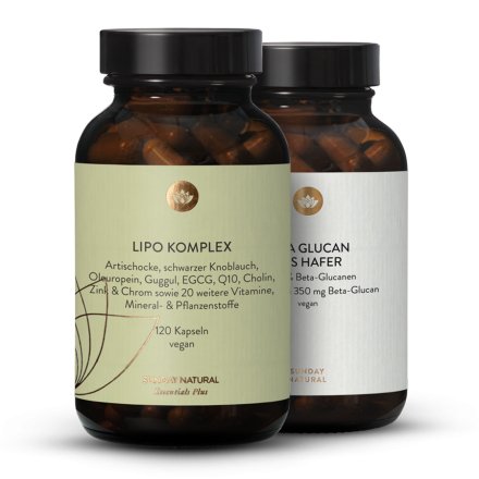 Cholesterin & Blutfette Basis-Set