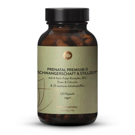 Pregnancy & Lactation Premium II