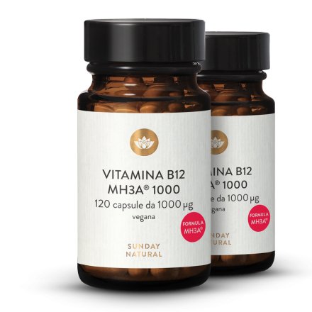 Vitamina B12 formula MH3A 1000 g