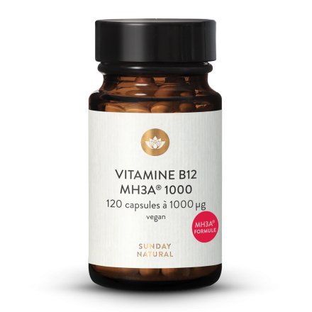 Vitamine B12 MH3A formule1000 g