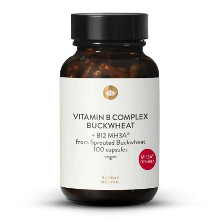 B-Complex Plus B12 MH3A®