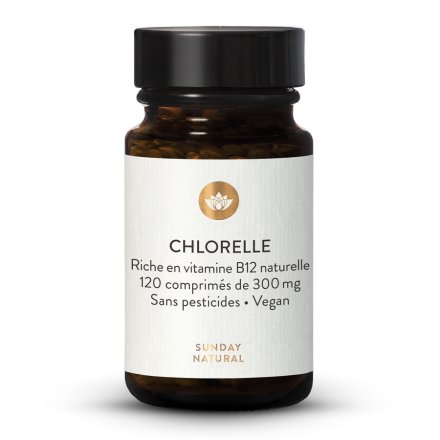 Chlorelle & Vitamine B12 - 120 comprims