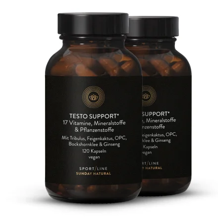 Testo Support Complex
