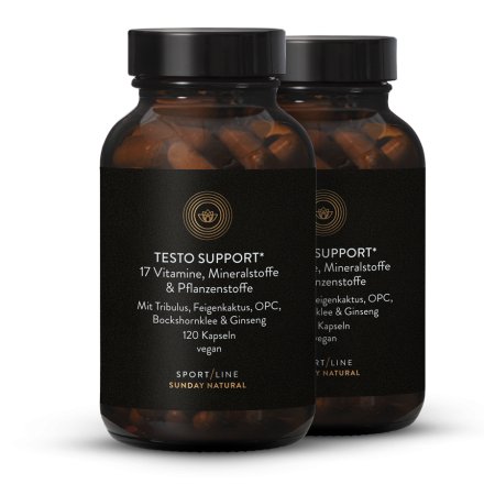 Testo Support