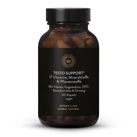 Testo Support