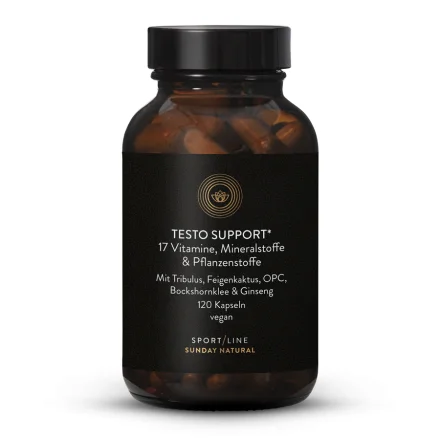 Testo Support Komplex