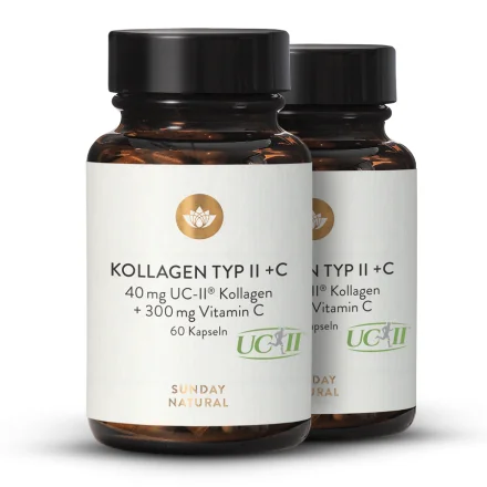 Kollagen Typ II + C