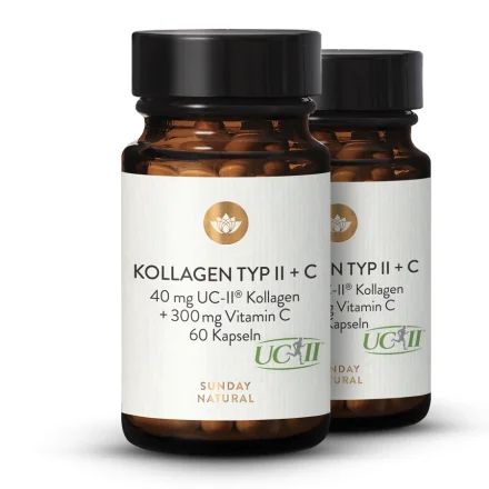 Kollagen Typ II + C