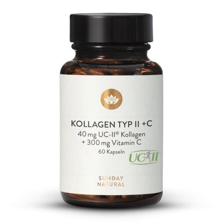 Kollagen Typ II + C