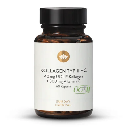 Kollagen Typ II + C