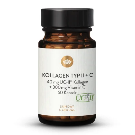 Kollagen Typ II + C
